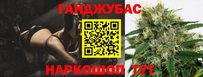мдпв Новозыбков