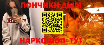 мдпв Новозыбков