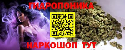 мдпв Новозыбков